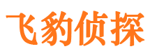 双桥区外遇调查取证